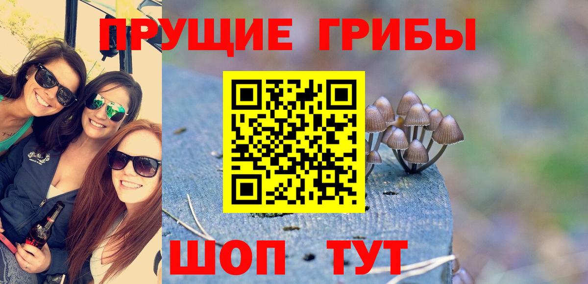 Псилоцибиновые грибы ЛСД  Вход с VPN  Кольчугино 