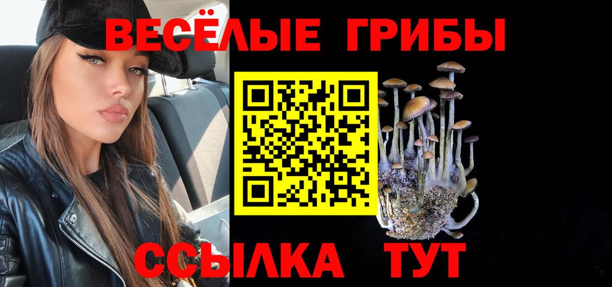 Галлюциногенные грибы GOLDEN TEACHER Кольчугино